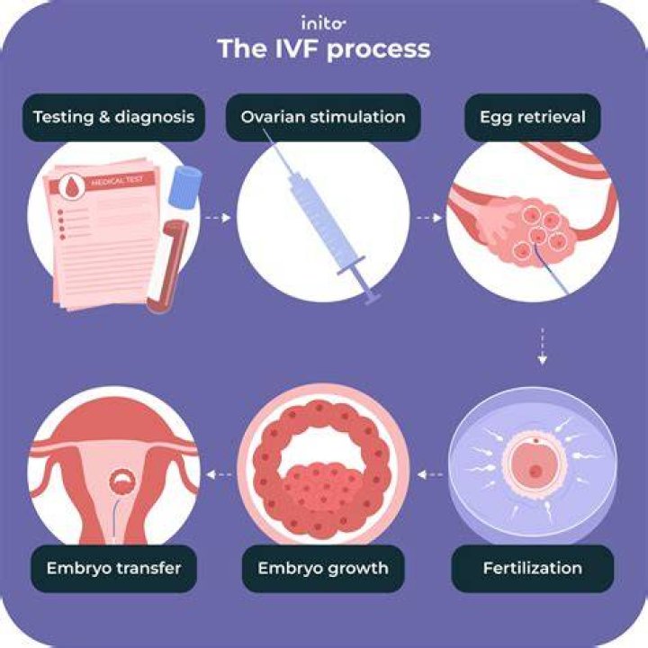 Avner Hershlag: The Renowned IVF Expert Redefining Fertility Treatments