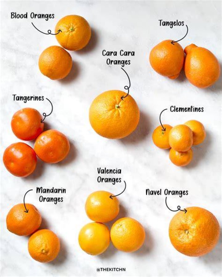 Can your Dog Eat Mandarins: What You Need to Know