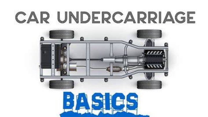 Cartilage-Free Captain: The Ultimate Guide to Understanding Its Impact and Importance