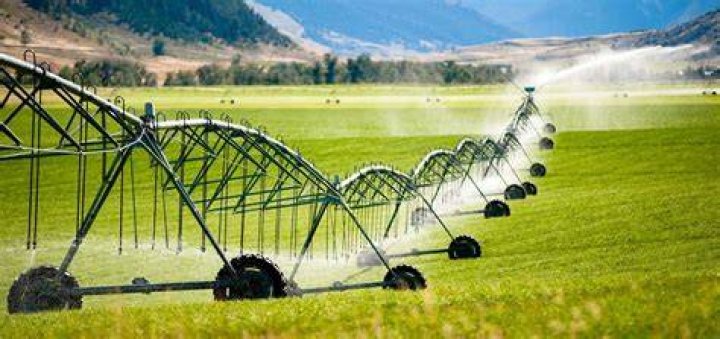 Clive Owen: A Visionary Leader in Modern Agriculture