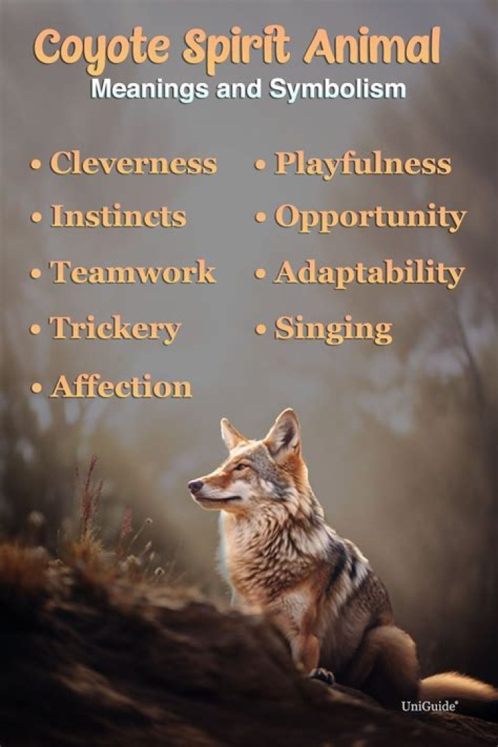 Coyote Symbolism and Meaning: The Wild Trickster