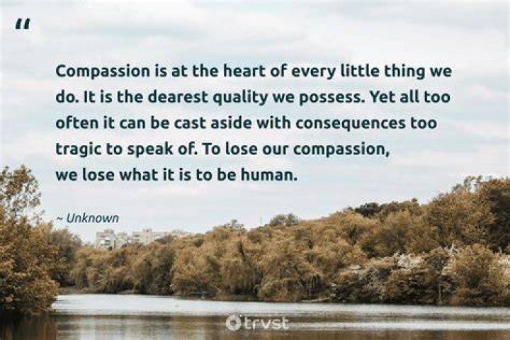 Discover the Heart of Compassion: Watauga Humane Society