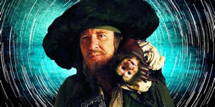 Dreadful Captain Barbossa of the Pirates of the Caribbean!