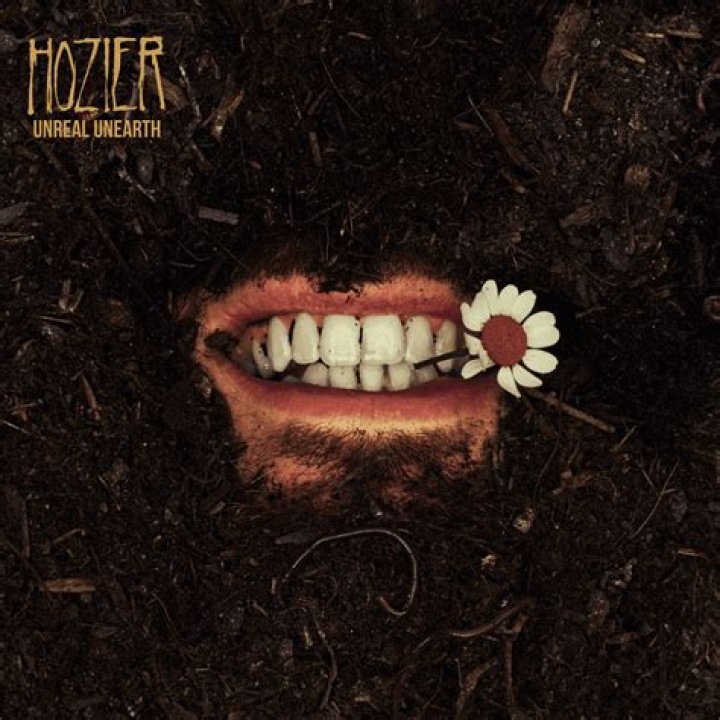 Exploring the Musical Genius of Hozier: A Journey Through His Life and Career