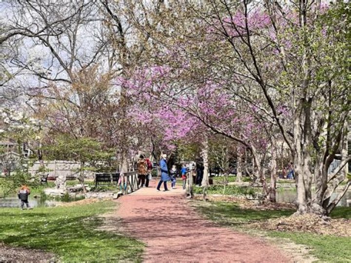 Exploring the Vibrant Wilmette Park District: A Gateway to Adventure and Leisure