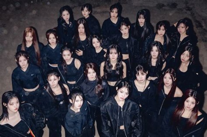 How Many Members Are in Twice? The Definitive Answer