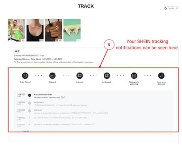 Maximize Your Shein Experience: Discover the Wonders of Shein Points