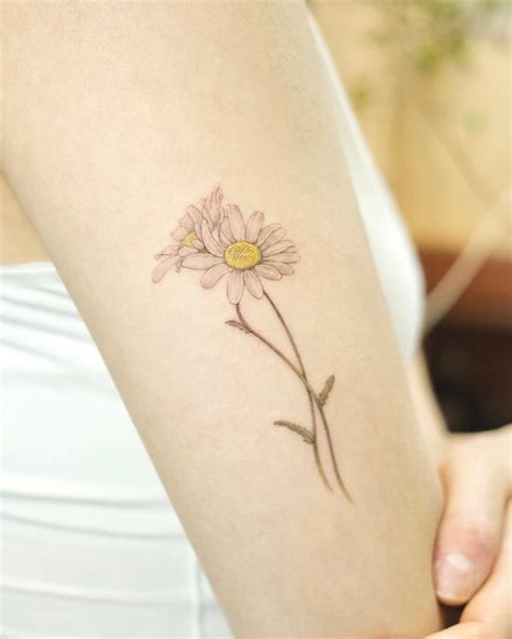 Name Daisy Tattoos: A Trend That's Blooming in Popularity