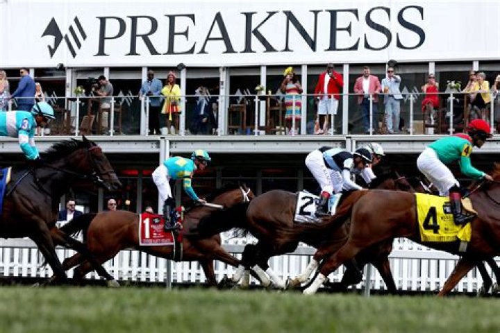 Preakness Contenders: The Race for Glory