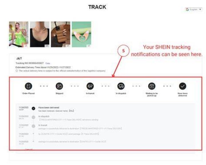 The Complete Guide to Collecting Shein Points Quickly and Easily
