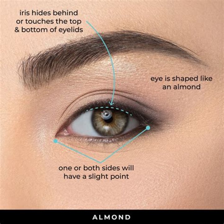 The Ultimate Guide to Finding the Best Eyeliner for Almond-Shaped Eyes