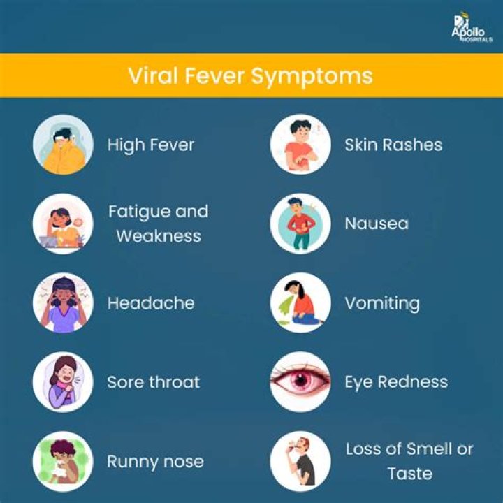 The Ultimate Guide to Sniffles: Causes, Symptoms, and Remedies