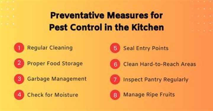 Tips for Preventing Pests from Destroying Your Home