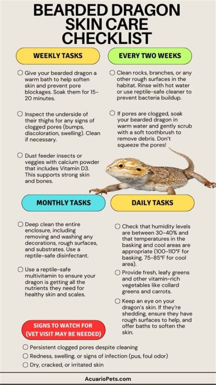 Ultimate Guide: Comforting a Dying Bearded Dragon with Care and Compassion