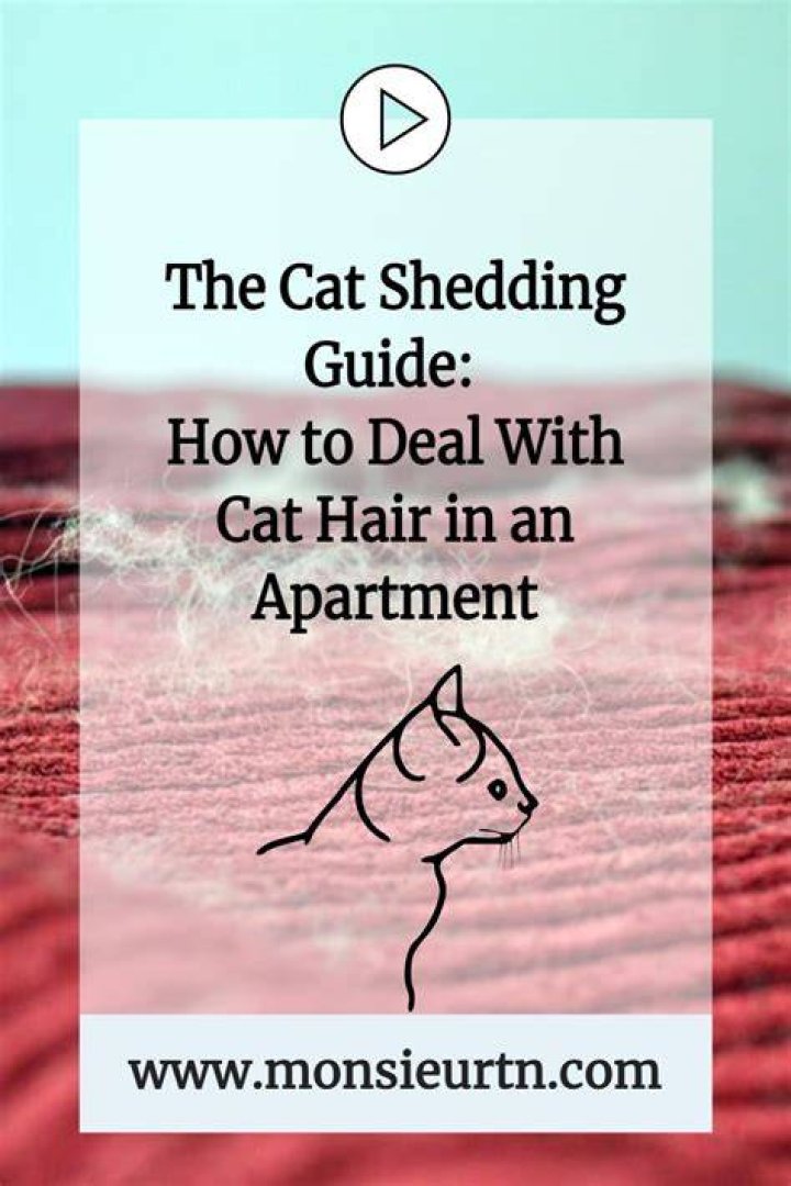 Ultimate Guide to Minimizing Cat Hair Shedding: Solutions for a Hair-Free Home