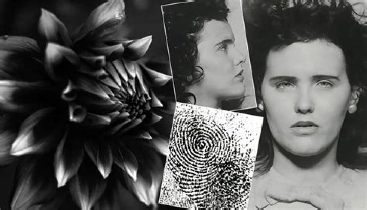 Unveiling the Truth: Autopsy Photos of the Black Dahlia