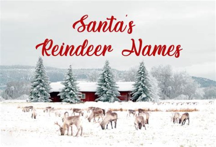 What Are Santa's Eight Reindeer Names? A Comprehensive Guide